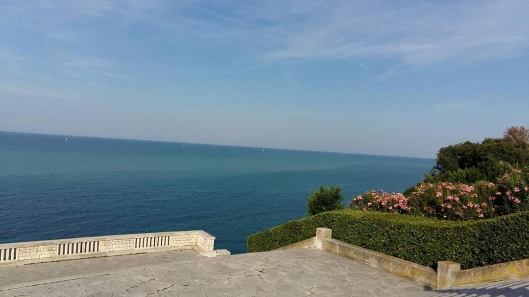 Casa Viorica Hotel Ancona Kültér fotó